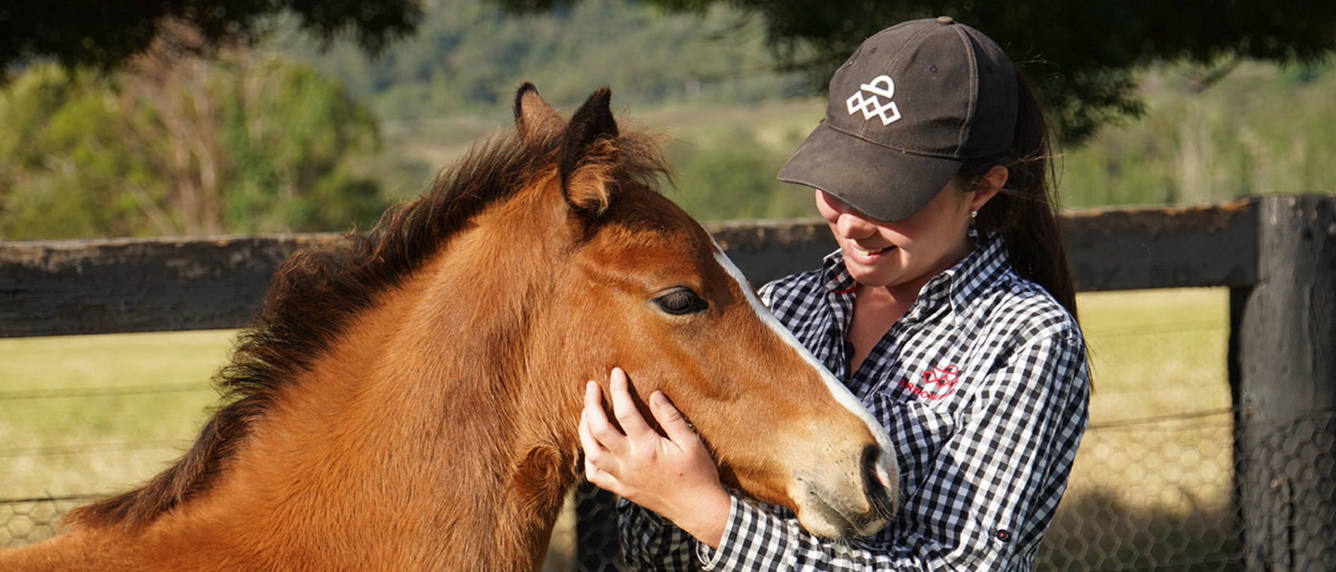 Arrowfield featured on Media Central website
